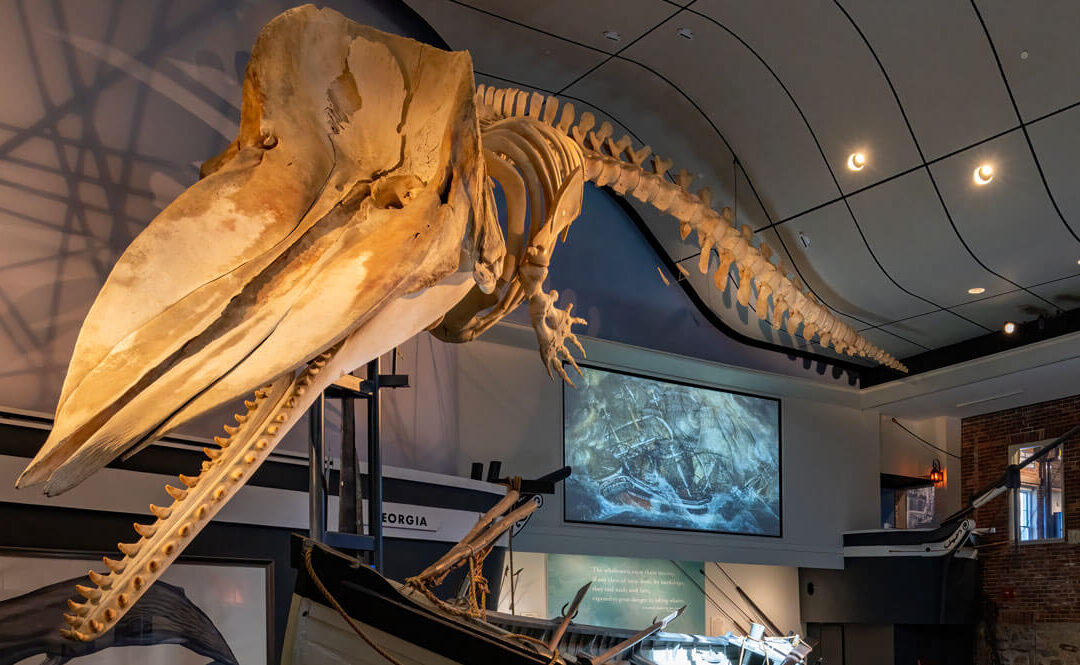 McCausland Gallery, Whaling Museum, Nantucket Historical Association